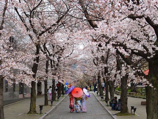 Des scènes de vie traditionnelles