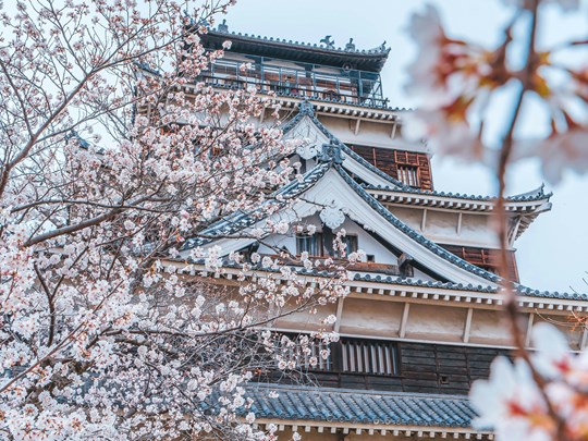 Parcourez des châteaux magnifiques