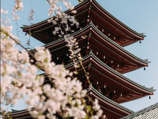 Senso-ji au printemps