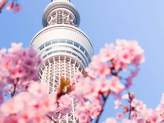 La Skytower de Tokyo