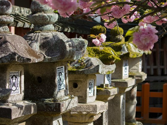 Admirez la beauté dans les détails à Nara