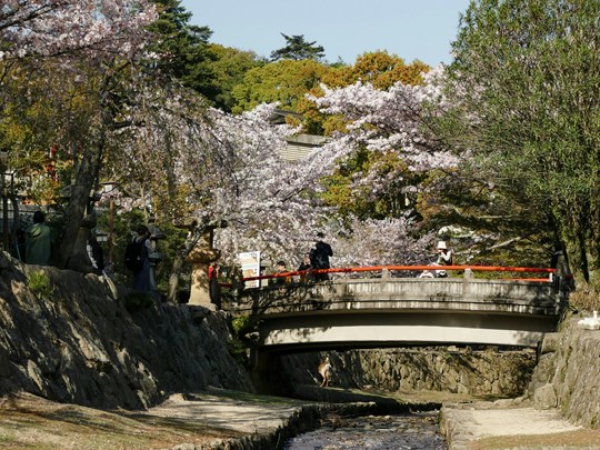 Promenez-vous à Hiroshima au bord des canaux