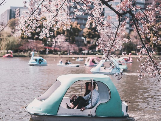 Une balade dans le parc d'Ueno à Tokyo