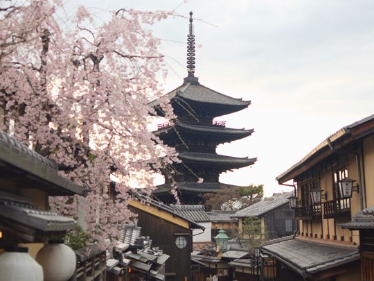 Le quartier de Gion à Kyoto sous les cerisiers
