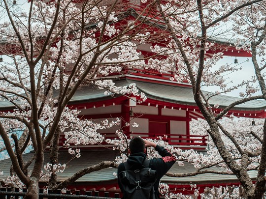 Immortalisez le plus célèbre temple offrant une vue sur le Mont Fuji