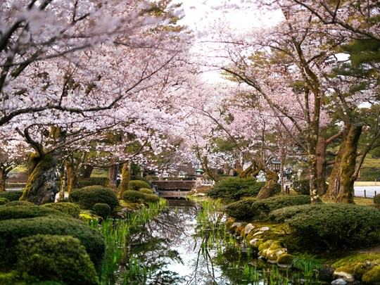 Les jardins de Kanazawa