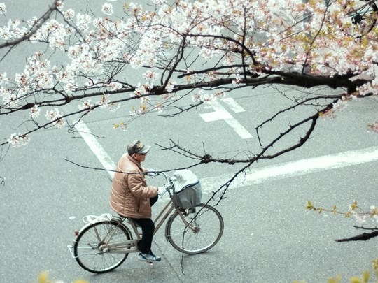 Aperçu de la vie locale au printemps