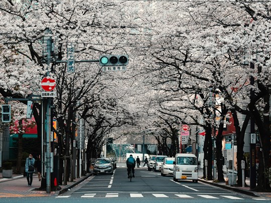 Les rues des capitales culturelles