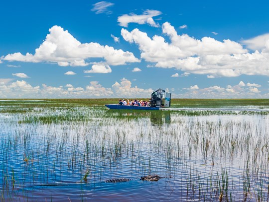 Prenez un hydroglisseur pour découvrir les fameuses Everglades