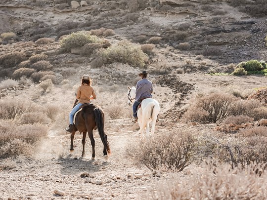 Faites des balades à cheval pour découvrir la région