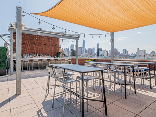 Rooftop New York Mr Purple