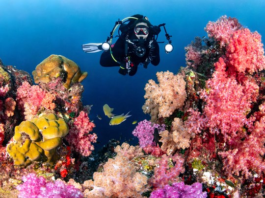 Plongée à Hin Muang