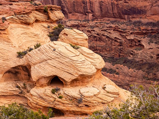 Le Canyon de Chelly en Arizona