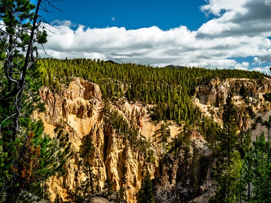 Yellowstone Canyon, un paysage à part