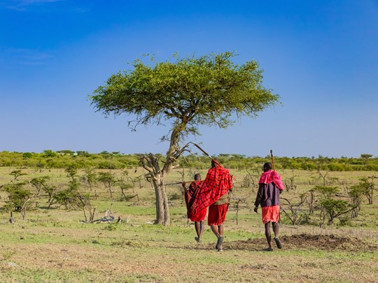 Marche avec les Maasaï du Masai Mara