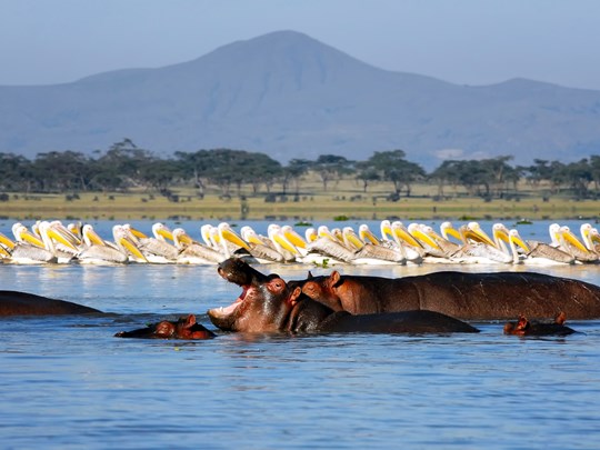 lac Naivasha