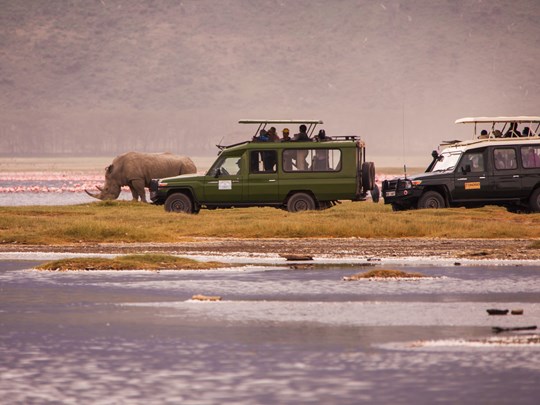 Le lac Nakuru