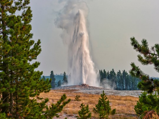 Assistez aux impressionnantes éruptions du célèbre Old Faithful
