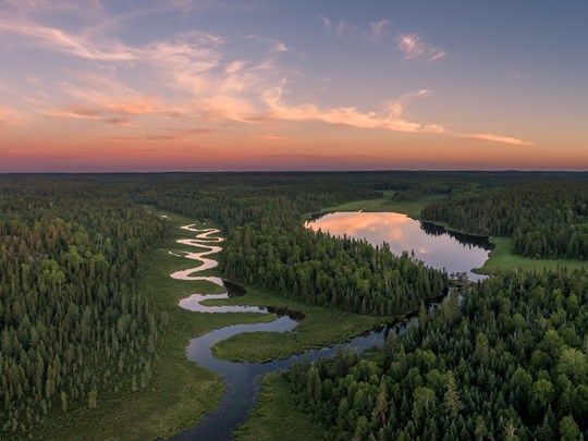 Plongez dans une nature sublime, entre forêts et rivières