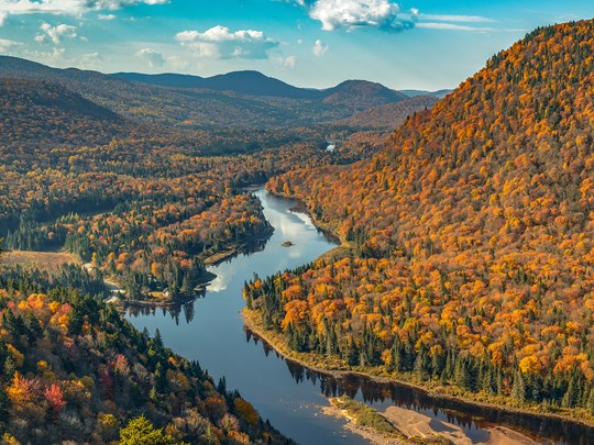 Un cadre entre forêts boréales et rivières sinueuses