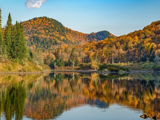 Observez la nature se parer des couleurs de l'été indien 