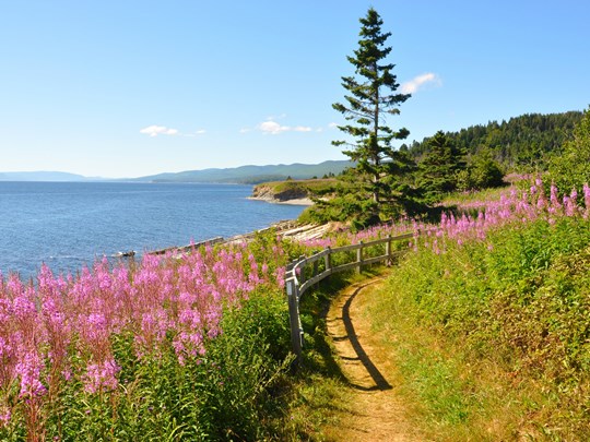 Randonnez entre forêt, plages et falaises