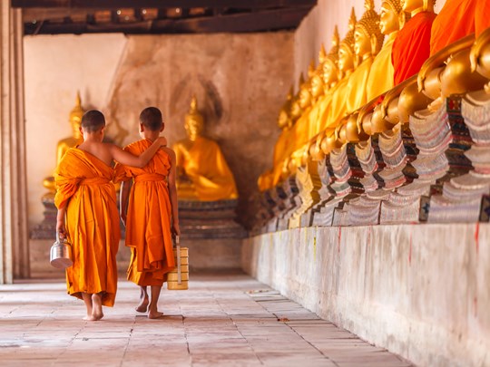 Apprentissage dans la sérénité du temple ancestral