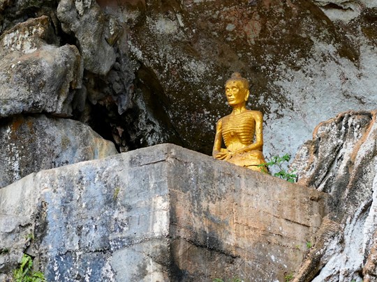 Le Bouddha doré de Wat Suwan Khuha