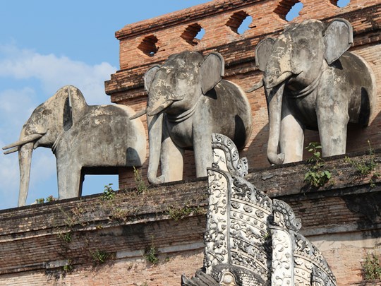 Les éléphants gardiens du Wat Chedi Luang