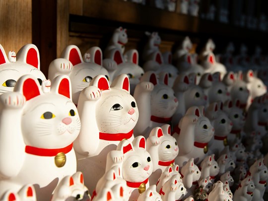 Le temple aux chats de Tokyo