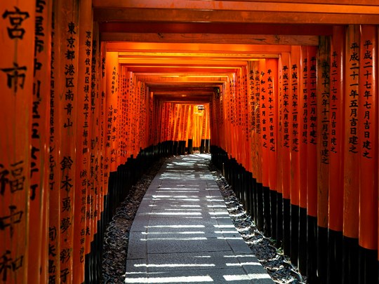 Des milliers de torii rouges