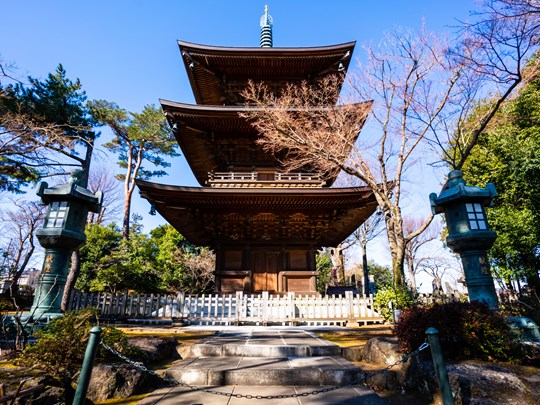 Gotoku-ji, un temple insolite
