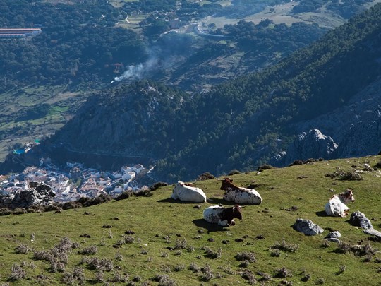 Admirez Grazalema et ses hauteurs au cœur du parc naturel
