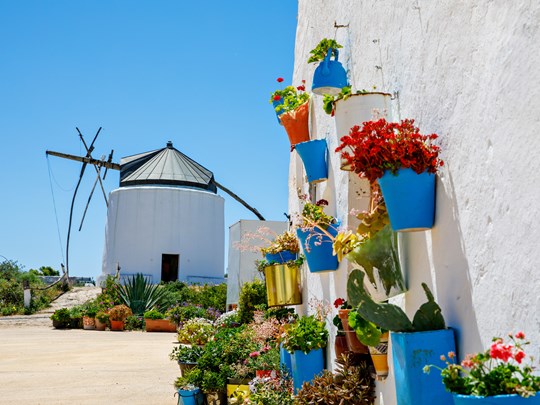 Découvrez les vieux moulins de Vejer de la Frontera