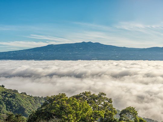 Dans la forêt de nuages