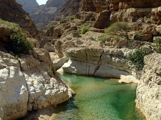 L'oasis luxuriante de Wadi Shab