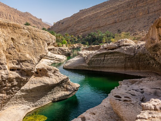Wadi Bani Khalid, une oasis unique