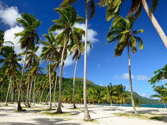 Playa Rincon, Samaná