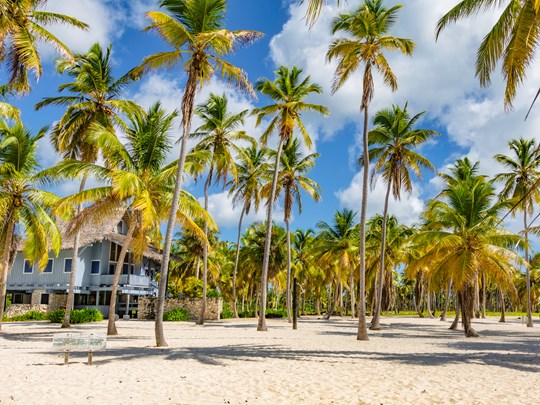 Canto de la Playa, île de Saona