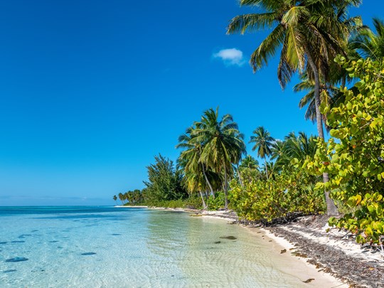Canto de la Playa, Saona Island