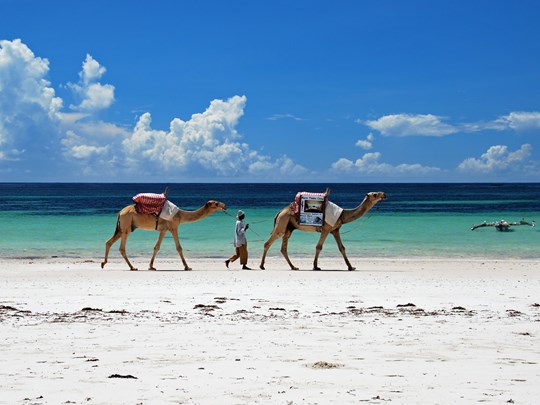 Balade à dos de chameau à Diani