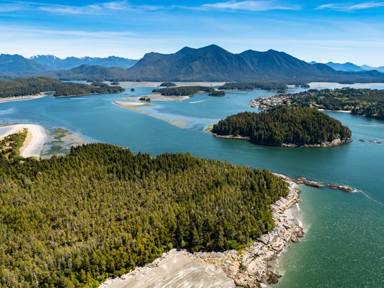 Tofino, entre lac et forêt