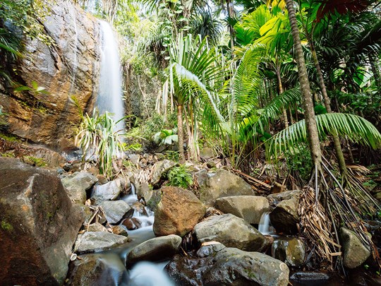 Explorez la Vallée de Mai