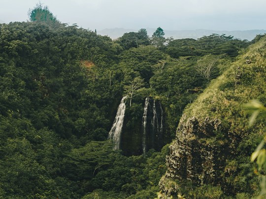 Visite des Opaeka'a Falls