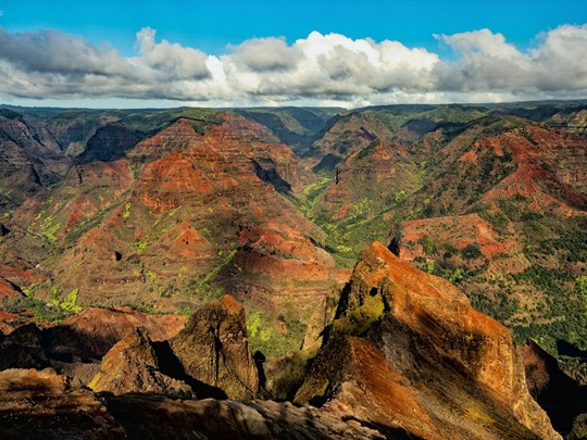 Le Waimea Canyon