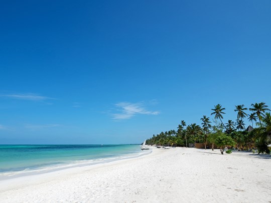 Découvrez la plage de sable blanc au bord de votre hôtel