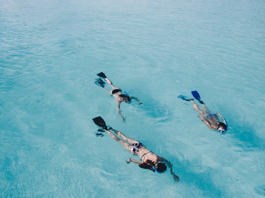 Snorkeling aux Maldives