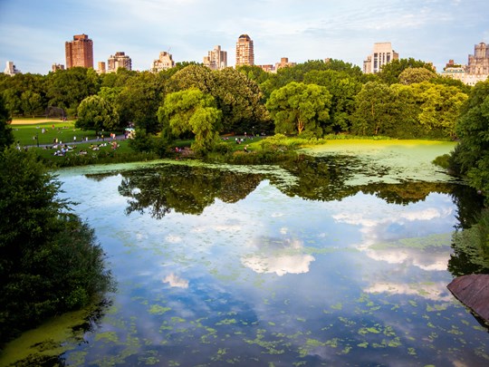 Central Park, d'une superficie de 340 hectares, le poumon vert de la ville