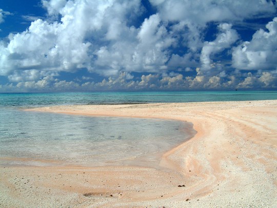 Bienvenue sur les plages de sable rose de Tikehau