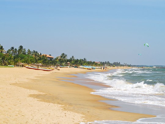 Voyage à Negombo